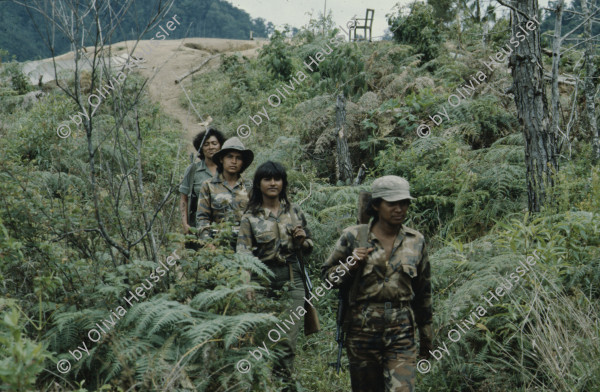 Image of sheet 19853000 photo 41: Ein Soldat trocknet seine Militaer Uniform im Stacheldraht Geflecht an der Sonne. 1985 er Jahre. Nicaragua, Zentralamerika.

19853000 1985
Uniform: Militaer; Stiefel; Soldaten; Unterwaesche; Schuhe; trocknen; Gewaschen; Waschen; sonne