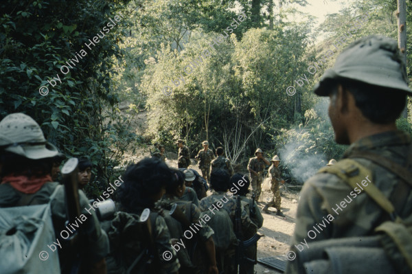 Image of sheet 19853000 photo 42: Ein Soldat trocknet seine Militaer Uniform im Stacheldraht Geflecht an der Sonne. 1985 er Jahre. Nicaragua, Zentralamerika.

19853000 1985
Uniform: Militaer; Stiefel; Soldaten; Unterwaesche; Schuhe; trocknen; Gewaschen; Waschen; sonne