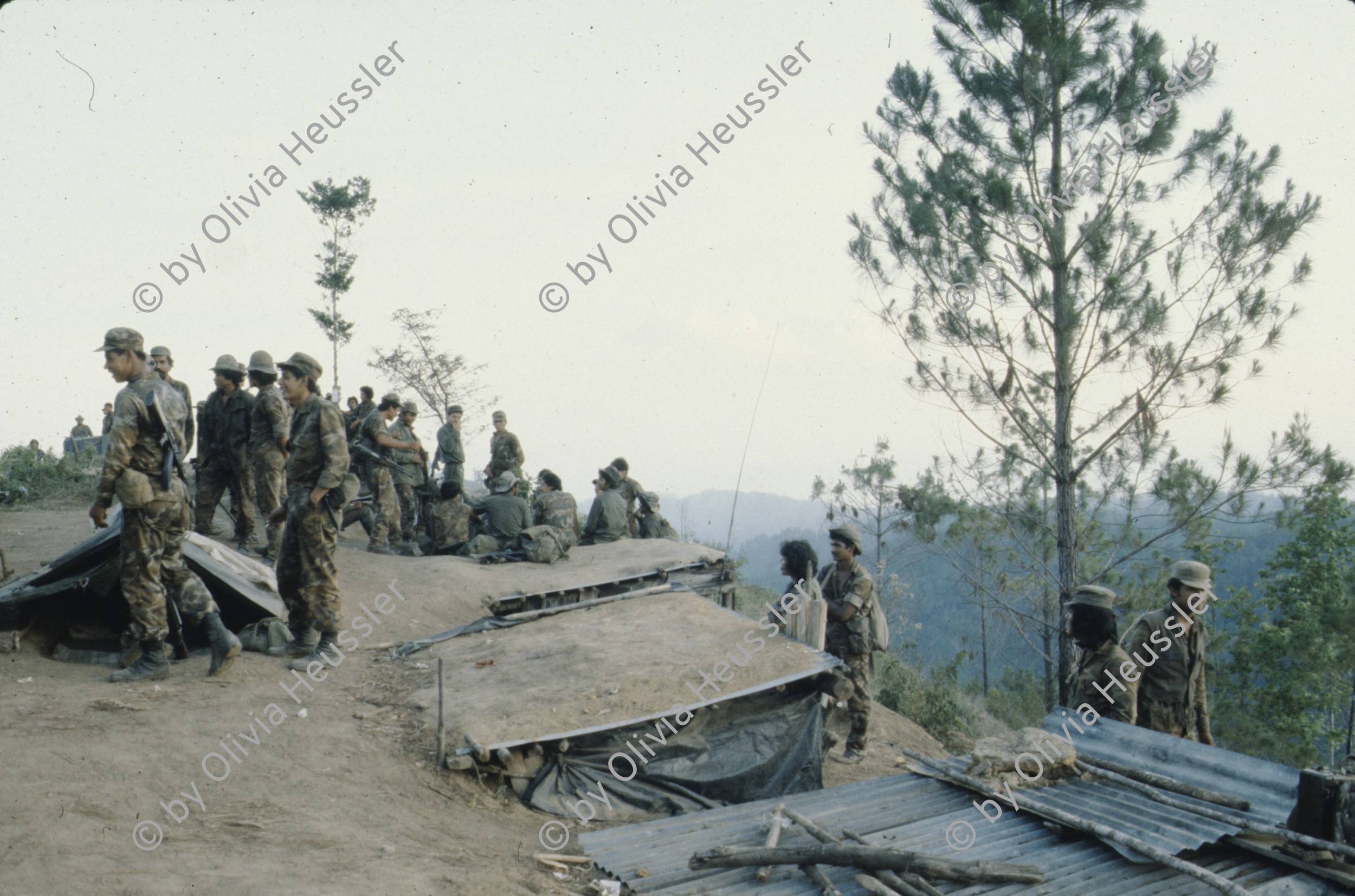 Image of sheet 19853000 photo 49: Ein Soldat trocknet seine Militaer Uniform im Stacheldraht Geflecht an der Sonne. 1985 er Jahre. Nicaragua, Zentralamerika.

19853000 1985
Uniform: Militaer; Stiefel; Soldaten; Unterwaesche; Schuhe; trocknen; Gewaschen; Waschen; sonne
