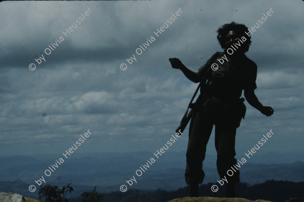 Image of sheet 19853000 photo 52: Ein Soldat trocknet seine Militaer Uniform im Stacheldraht Geflecht an der Sonne. 1985 er Jahre. Nicaragua, Zentralamerika.

19853000 1985
Uniform: Militaer; Stiefel; Soldaten; Unterwaesche; Schuhe; trocknen; Gewaschen; Waschen; sonne