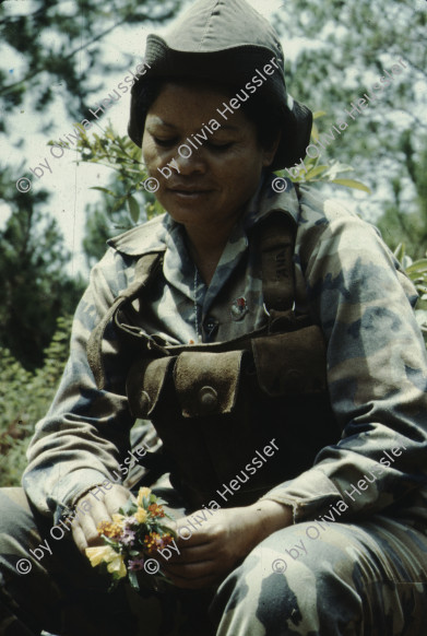 Image of sheet 19853000 photo 55: Ein Soldat trocknet seine Militaer Uniform im Stacheldraht Geflecht an der Sonne. 1985 er Jahre. Nicaragua, Zentralamerika.

19853000 1985
Uniform: Militaer; Stiefel; Soldaten; Unterwaesche; Schuhe; trocknen; Gewaschen; Waschen; sonne