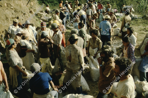 Image of sheet 19853000 photo 61: Ein Soldat trocknet seine Militaer Uniform im Stacheldraht Geflecht an der Sonne. 1985 er Jahre. Nicaragua, Zentralamerika.

19853000 1985
Uniform: Militaer; Stiefel; Soldaten; Unterwaesche; Schuhe; trocknen; Gewaschen; Waschen; sonne