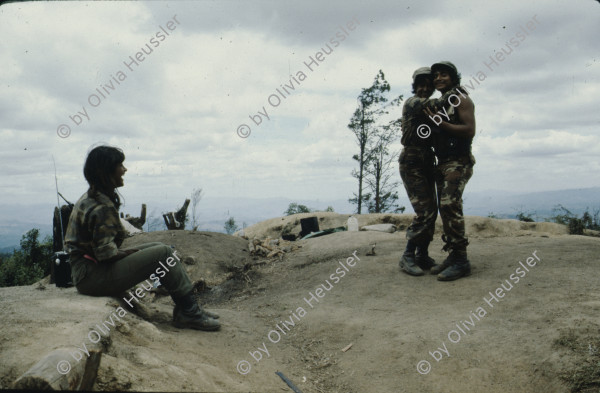 Image of sheet 19853000 photo 81: Ein Soldat trocknet seine Militaer Uniform im Stacheldraht Geflecht an der Sonne. 1985 er Jahre. Nicaragua, Zentralamerika.

19853000 1985
Uniform: Militaer; Stiefel; Soldaten; Unterwaesche; Schuhe; trocknen; Gewaschen; Waschen; sonne