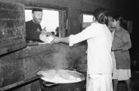 Image of sheet 19860010 photo 19: Benny Mc Cabe kriegt auch eine Tortilla. Aeltere und Jüngere zusammen in den Kaffeestauden. (The Observer) Reste des Films von DHL verloren. Nicaragua 1986
