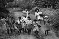 Image of sheet 19860010 photo 27: Kinder und Frauen auf dem Weg zum Kaffeepflücken Gruppenbild Nicaragua 1986 √
Kaffee Arbeit Ernte