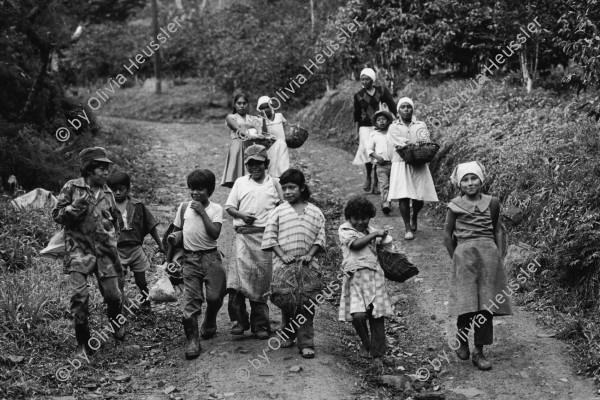 Image of sheet 19860010 photo 27: Kinder und Frauen auf dem Weg zum Kaffeepflücken Gruppenbild Nicaragua 1986 √
Kaffee Arbeit Ernte