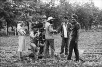 Image of sheet 19860020 photo 13: Film: Mujeres de la Frontera. Direktor Yvan Arguello Lacayo von INCINE. Kamera Rafael Ruiz mein alter Freund. Haupt darstellerin Pauline von Jalapa. Frauen arbeiten mit langen Instrumenten auf dem Feld. Yvan gibt den Schauspieler Innen (Laien) anweisungen. Er schaut durch die Kamera und Rafael steht daneben. Film cinema work art Nicaragua 1986  school Managua