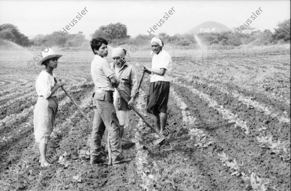 Image of sheet 19860020 photo 31: Film: Mujeres de la Frontera. Direktor Yvan Arguello Lacayo von INCINE. Kamera Rafael Ruiz mein alter Freund. Haupt darstellerin Pauline von Jalapa. Frauen arbeiten mit langen Instrumenten auf dem Feld. Yvan gibt den Schauspieler Innen (Laien) anweisungen. Er schaut durch die Kamera und Rafael steht daneben. Film cinema work art Nicaragua 1986  school Managua