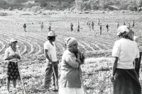 Image of sheet 19860030 photo 1: Filming “Mujeres de la Frontera” by Ivan Arguello Lacayo, Managua Nicaragua 1986.
