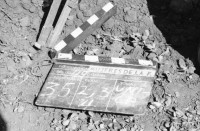 Image of sheet 19860030 photo 11: D