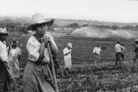 Image of sheet 19860030 photo 4: Viele Frauen in der Landwirtschaft ersetzen ihre Kollegen die ins Militär eingezogen wurden. Nicaragua 1985 √
Auf dem Filmset INCINE cinema farming farm agriculture campesinas frauen women woman 
Managua

Aus: Der Traum von Solentiname/The dream of Solentiname/El sueño de Solentiname