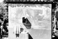 Image of sheet 19860040 photo 13: Granada: Kuh steht in einem Restaurant vor dem Bad und einem gemalten Panter auf der Wand. Wandbild Ein Junge führt sie durch's Restaurant und spielt mit. Graffiti rind animal art cattle Nicaragua 1986 √