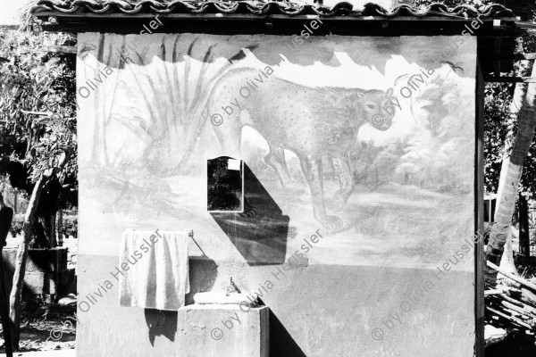 Image of sheet 19860040 photo 13: Granada: Kuh steht in einem Restaurant vor dem Bad und einem gemalten Panter auf der Wand. Wandbild Ein Junge führt sie durch's Restaurant und spielt mit. Graffiti rind animal art cattle Nicaragua 1986 √