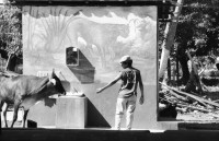 Image of sheet 19860040 photo 16: Nicaragua 1986
