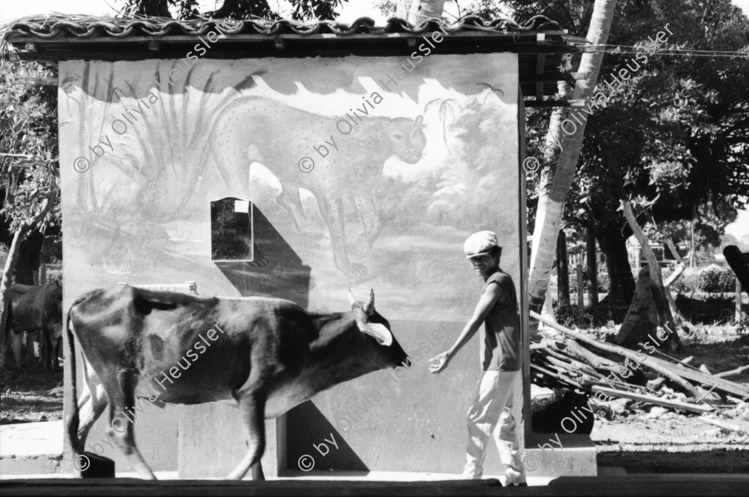 Image of sheet 19860040 photo 17: Kuh steht in einem Restaurant vor dem Bad und einem gemalten Panter auf der Wand. Wandbild Ein Junge führt sie durch's Restaurant und spielt mit ihr.