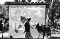 Image of sheet 19860040 photo 18: Nicaragua 1986