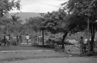 Image of sheet 19860100 photo 43: frtsg. 860090 Soldatinnen für den freiwilligen Militärdienst. Die Familie Quinnonez. José links. in Altagracia. Gruppenbild Familienbild Managua Häuser deren Abschrankung oder Gartenzaun mit ausgedienten Busstüren hergestellt gebaut sind. Wandmalerei Hubstapelfahrerin. typisches Nicaragua Haus.  Fahrzeug in siedlung. Frau spricht mit Mann in Hängematte. Mutter schneidet die Haare ihrer Tochter. Männer spielen Murmel. Hauswand aus Oelfassdeckeln. Betonröhren. Managua 1986