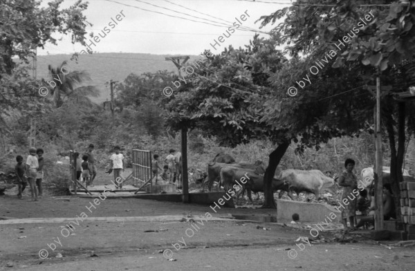 Image of sheet 19860100 photo 43: frtsg. 860090 Soldatinnen für den freiwilligen Militärdienst. Die Familie Quinnonez. José links. in Altagracia. Gruppenbild Familienbild Managua Häuser deren Abschrankung oder Gartenzaun mit ausgedienten Busstüren hergestellt gebaut sind. Wandmalerei Hubstapelfahrerin. typisches Nicaragua Haus.  Fahrzeug in siedlung. Frau spricht mit Mann in Hängematte. Mutter schneidet die Haare ihrer Tochter. Männer spielen Murmel. Hauswand aus Oelfassdeckeln. Betonröhren. Managua 1986