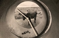 Image of sheet 19860120 photo 13: printed on a clock with the use of a photography by Olivia Heussler
Exhibition Uhr