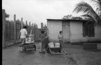 Image of sheet 19860120 photo 16: In Managua fotografiere ich eine Kuh durch ein Betonrohr vor Knochen. Im Hintergrund stehen die Vulkane Momotombo am Managuasee. Die Kuh steht da weil dort Knochen liegen, die ich aber erst in der Dunkelkammer auf dem Bild entdecke. Kinder sitzen auf Betonröhren. Eine Wasserstelle in einer Siedlung. Am 2. Juni fahr ich fürs Schweizer Fernsehen nach Polo de Yale, der Bauernkooperative Daniel Teller. Am 1. Juni am morgen nachdem 31. Mai dem Muttertagsfest greifen die Contra das von Schweizern mit Hilfe des SAH AOS erbaute Dorf an und ermorden 15 Menschen darunter ein 9- jähriges Mädchen. Ein toter Contra. Die zerstörten Häuser. Die Schule steht nicht mehr. Uebersicht. Die Frauen stehen auf den frischen Gräbern ihrer Männer. Die Kränze sind aus Plastikblumen und in Folie eingepackt. Ein kleiner Junge richtet den Blumen Kranz. Im Krankenlager von La Dalia liegen mehrere junge verletzte Frauen und Männer mit Kindern. Matagalpa Nicaragua 1986 
vier negative fehlen auf Blattkopie Kontaktsheet