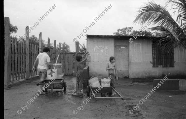 Image of sheet 19860120 photo 16: In Managua fotografiere ich eine Kuh durch ein Betonrohr vor Knochen. Im Hintergrund stehen die Vulkane Momotombo am Managuasee. Die Kuh steht da weil dort Knochen liegen, die ich aber erst in der Dunkelkammer auf dem Bild entdecke. Kinder sitzen auf Betonröhren. Eine Wasserstelle in einer Siedlung. Am 2. Juni fahr ich fürs Schweizer Fernsehen nach Polo de Yale, der Bauernkooperative Daniel Teller. Am 1. Juni am morgen nachdem 31. Mai dem Muttertagsfest greifen die Contra das von Schweizern mit Hilfe des SAH AOS erbaute Dorf an und ermorden 15 Menschen darunter ein 9- jähriges Mädchen. Ein toter Contra. Die zerstörten Häuser. Die Schule steht nicht mehr. Uebersicht. Die Frauen stehen auf den frischen Gräbern ihrer Männer. Die Kränze sind aus Plastikblumen und in Folie eingepackt. Ein kleiner Junge richtet den Blumen Kranz. Im Krankenlager von La Dalia liegen mehrere junge verletzte Frauen und Männer mit Kindern. Matagalpa Nicaragua 1986 
vier negative fehlen auf Blattkopie Kontaktsheet