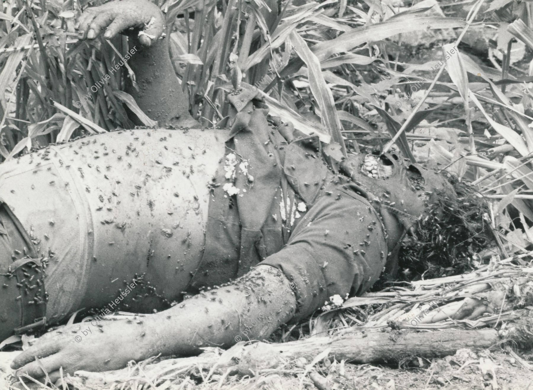 Image of sheet 19860120 photo 20: Toter Contra-Soldat, nach dem Angriff auf die Landwirtschaftskooperative Daniel Teller in Polo de Yale, Matagalpa, Nicaragua 1986.