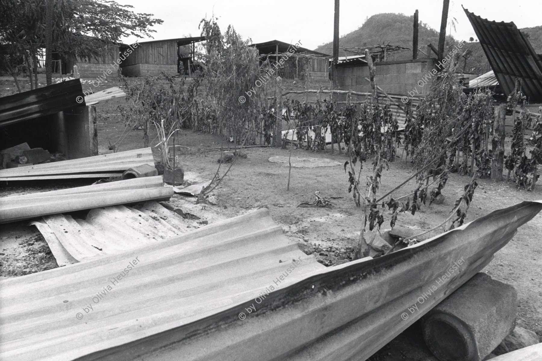 Image of sheet 19860120 photo 29: Zerstörte Häuser ach dem Contra-Angriff auf die Landwirtschaftskooperative Daniel Teller in Polo de Yale, Matagalpa, Nicaragua 1986.