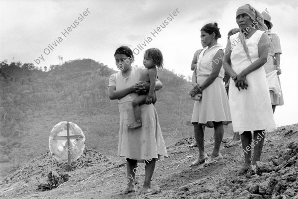 Image of sheet 19860120 photo 41: Die Frauen von der Cooperative Polo de Yale bei La Dalia,Matagalpa haben bei einem Contraangriff am Muttertag, 15 Männer und ein Mädchen verloren. Die Siedlung wurde von Schweizer Brigaden aufgebaut.Nicaragua 1986
Siedlung. Am 2. Juni fahr ich fürs Schweizer Fernsehen nach Polo de Yale, der Bauernkooperative Daniel Teller. Am 1. Juni am morgen nachdem 31. Mai dem Muttertagsfest greifen die Contra das von Schweizern mit Hilfe des SAH AOS erbaute Dorf an und ermorden 15 Menschen darunter ein 9- jähriges Mädchen. Die Frauen stehen auf den frischen Gräbern ihrer Männer. Frauen mit Kindern. Matagalpa Nicaragua 1986 √

 Centralamerica contra rebels attack war women girl cementery death graves men soldier farmer farming sandinist