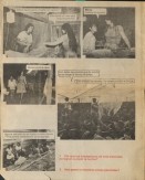 Image of sheet 19860160 photo 0: Press archive printed media published with the use of a photography by Olivia Heussler: Vamos.