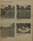 Image of sheet 19860160 photo 0: Press archive printed media published with the use of a photography by Olivia Heussler: Vamos.