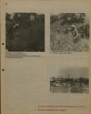 Image of sheet 19860160 photo 0: Press archive printed media published with the use of a photography by Olivia Heussler: Vamos.