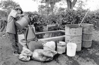 Image of sheet 19860160 photo 15: Die Besprühungsgeräte für die Kaffeepflanzen werden ungeschützt mit Pestiziden aus der Schweiz Diazinon AG 500, aufgefüllt. 4 Region, Nicaragua 07.86 1986 √
Coffee Platage Pflanzungen Kaffee Pesticide