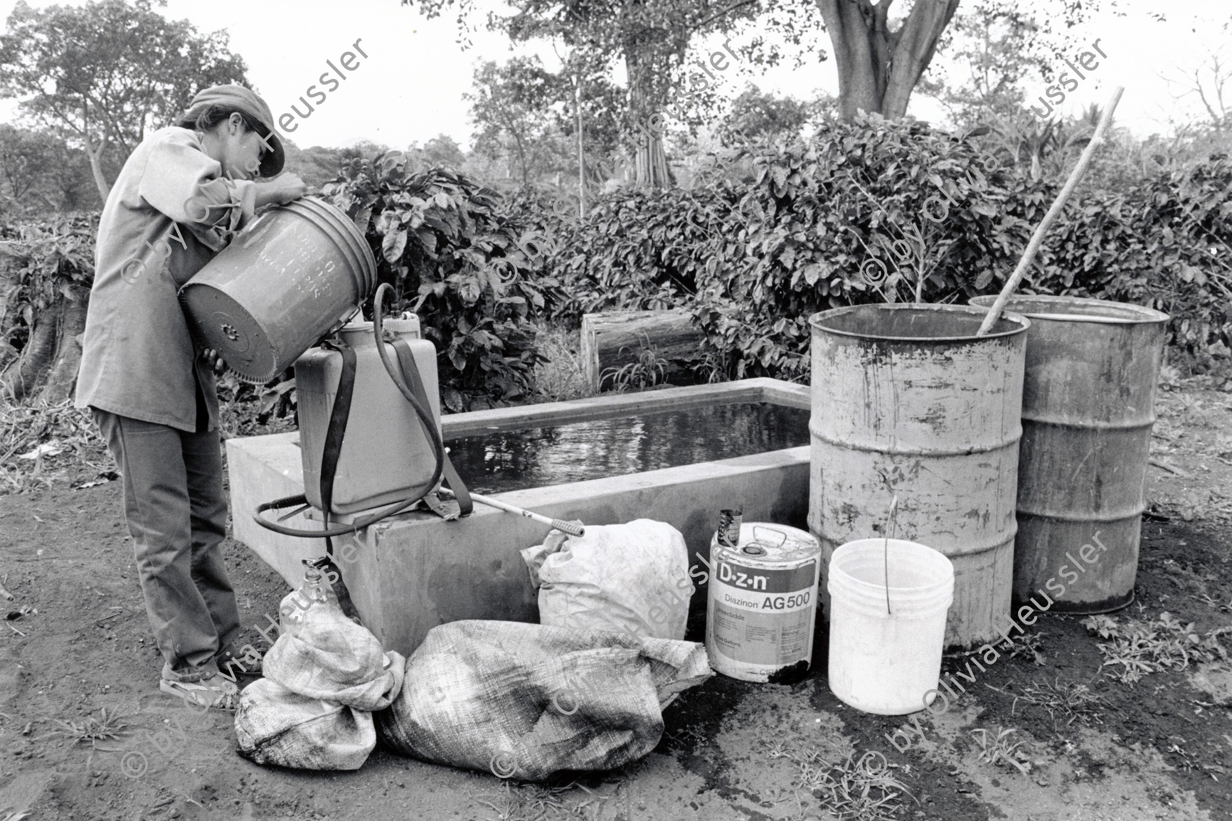 Image of sheet 19860160 photo 15: Die Besprühungsgeräte für die Kaffeepflanzen werden ungeschützt mit Pestiziden aus der Schweiz Diazinon AG 500, aufgefüllt. 4 Region, Nicaragua 07.86 1986 √
Coffee Platage Pflanzungen Kaffee Pesticide