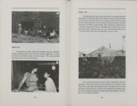Image of sheet 19860160 photo 3: 20090511_11