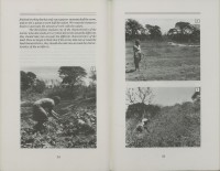 Image of sheet 19860160 photo 4: © 1986, olivia heussler /www.clic.li
Aus: Der Traum von Solentiname / The dream of Solentiname / El sueño de Solentiname page 62  co deza mediathek
Aus: von Zeit zu Zeit
Self-organized day care center. El Canton Cooperative Dep. Matagalpa
Guarderia infantil organizada por la cooperativa 

Im neuen Kindergarten der Kaffeecooperative El Canton, Nicaragua 07.86 1986 schlafen die Kleinkinder in kleinen Hängematten. √ Kindergarden

© 1986, OLIVIA HEUSSLER / www.clic.li

gerahmt framed with passepartout 37 x 52 cm

book.