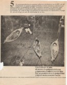 Image of sheet 19860160 photo 4: Self-organized day care center. El Canton Cooperative Dep. Matagalpa
Guarderia infantil organizada por la cooperativa 

Im neuen Kindergarten der Kaffeecooperative El Canton, Nicaragua 07.86 1986 schlafen die Kleinkinder in kleinen Hängematten. √ Kindergarden


book.