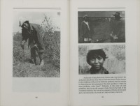 Image of sheet 19860160 photo 4: © 1986, olivia heussler /www.clic.li
Aus: Der Traum von Solentiname / The dream of Solentiname / El sueño de Solentiname page 62  co deza mediathek
Aus: von Zeit zu Zeit
Self-organized day care center. El Canton Cooperative Dep. Matagalpa
Guarderia infantil organizada por la cooperativa 

Im neuen Kindergarten der Kaffeecooperative El Canton, Nicaragua 07.86 1986 schlafen die Kleinkinder in kleinen Hängematten. √ Kindergarden

© 1986, OLIVIA HEUSSLER / www.clic.li

gerahmt framed with passepartout 37 x 52 cm

book.