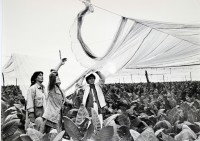 Image of sheet 19860160 photo 44: Für den Fotoroman Folleto «Vamos» für die ATC  Tabak und Kaffee. Die Frauen geben uns die Informationen
 über die momentanen Zustände in der Arbeit. Nicaragua 1986