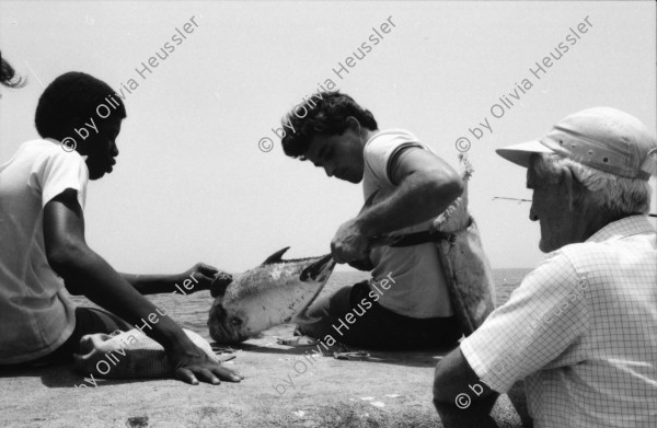 Image of sheet 19860170 photo 10: Frauen an der Türe. Menschen am Malecon, Habanna Kuba 1986. Schülerinnen in Uniform, Cuba.
Graffiti Polizeikontrolle Paris, France.
Strasse in Habanna. Junge spielen an der Quaimauer mit einem Fisch. Arbeiterinnen posieren. Hotel Caribbean und alter Kahn. Habannas leere Hafenstrasse. Meer Kindergruppe mit Fisch und Katze. Niagara Schwimm und altes Auto. Kleine schwarze Schulmädchen. Wandmalereien in Paris. Tinguely brunnen und Polizei kontrollieren Asylanten und Musiker. 33- 38 Paris.
Kuba 1986