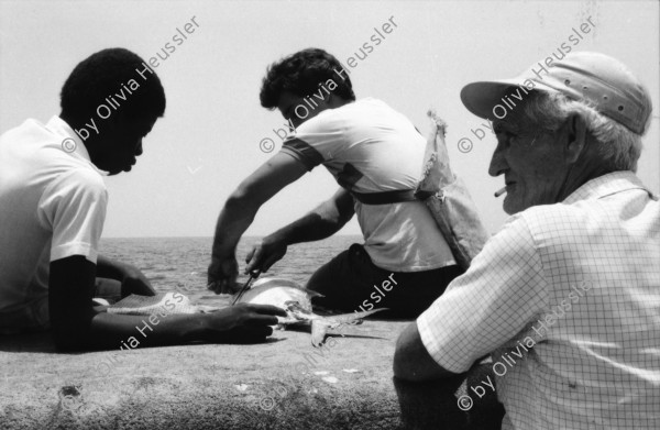 Image of sheet 19860170 photo 11: Frauen an der Türe. Menschen am Malecon, Habanna Kuba 1986. Schülerinnen in Uniform, Cuba.
Graffiti Polizeikontrolle Paris, France.
Strasse in Habanna. Junge spielen an der Quaimauer mit einem Fisch. Arbeiterinnen posieren. Hotel Caribbean und alter Kahn. Habannas leere Hafenstrasse. Meer Kindergruppe mit Fisch und Katze. Niagara Schwimm und altes Auto. Kleine schwarze Schulmädchen. Wandmalereien in Paris. Tinguely brunnen und Polizei kontrollieren Asylanten und Musiker. 33- 38 Paris.
Kuba 1986