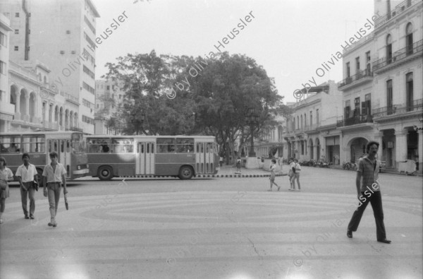 Image of sheet 19860170 photo 19: Frauen an der Türe. Menschen am Malecon, Habanna Kuba 1986. Schülerinnen in Uniform, Cuba.
Graffiti Polizeikontrolle Paris, France.
Strasse in Habanna. Junge spielen an der Quaimauer mit einem Fisch. Arbeiterinnen posieren. Hotel Caribbean und alter Kahn. Habannas leere Hafenstrasse. Meer Kindergruppe mit Fisch und Katze. Niagara Schwimm und altes Auto. Kleine schwarze Schulmädchen. Wandmalereien in Paris. Tinguely brunnen und Polizei kontrollieren Asylanten und Musiker. 33- 38 Paris.
Kuba 1986