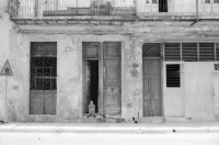 Image of sheet 19860170 photo 6: Frauen an der Türe. Menschen am Malecon, Habanna Kuba 1986. Schülerinnen in Uniform, Cuba.
Graffiti Polizeikontrolle Paris, France.
Strasse in Habanna. Junge spielen an der Quaimauer mit einem Fisch. Arbeiterinnen posieren. Hotel Caribbean und alter Kahn. Habannas leere Hafenstrasse. Meer Kindergruppe mit Fisch und Katze. Niagara Schwimm und altes Auto. Kleine schwarze Schulmädchen. Wandmalereien in Paris. Tinguely brunnen und Polizei kontrollieren Asylanten und Musiker. 33- 38 Paris.
Kuba 1986