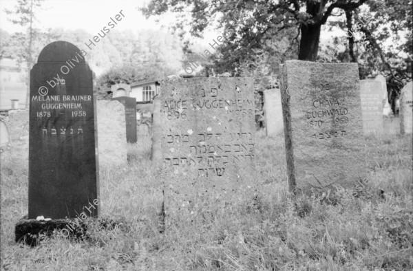 Image of sheet 19860180 photo 11: In Lengnau Ausstellung mit Alis Guggenheim Bilder aus ihrer Kindheit in Lengnau im Ortsmuseum. Ruth Heussler Platzkonzert Gemeindegruppe. Jüdischer Friedhof Lengnau. Kanton Aargau Switzerland 1986 jewish Synagoge. Dorf. Utoquai Zürich Seepromenade. Mogheno. Ziegen vor Kapelle. Valle Maggia mit Leo (f) aus Brasillien. Freske Türe Holz Rustici. Neubauten Daniel Kesselring und Rudi Berli an Konzert in Genf. Geneva Schweiz 
Naima Wadimoff