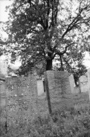 Image of sheet 19860180 photo 12: In Lengnau Ausstellung mit Alis Guggenheim Bilder aus ihrer Kindheit in Lengnau im Ortsmuseum. Ruth Heussler Platzkonzert Gemeindegruppe. Jüdischer Friedhof Lengnau. Kanton Aargau Switzerland 1986 jewish Synagoge. Dorf. Utoquai Zürich Seepromenade. Mogheno. Ziegen vor Kapelle. Valle Maggia mit Leo (f) aus Brasillien. Freske Türe Holz Rustici. Neubauten Daniel Kesselring und Rudi Berli an Konzert in Genf. Geneva Schweiz 
Naima Wadimoff