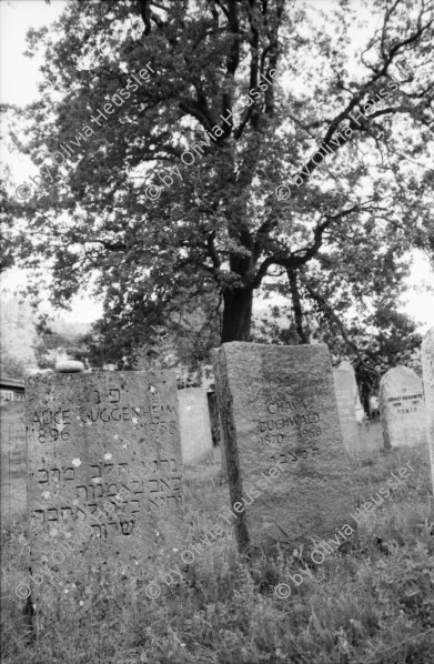 Image of sheet 19860180 photo 12: In Lengnau Ausstellung mit Alis Guggenheim Bilder aus ihrer Kindheit in Lengnau im Ortsmuseum. Ruth Heussler Platzkonzert Gemeindegruppe. Jüdischer Friedhof Lengnau. Kanton Aargau Switzerland 1986 jewish Synagoge. Dorf. Utoquai Zürich Seepromenade. Mogheno. Ziegen vor Kapelle. Valle Maggia mit Leo (f) aus Brasillien. Freske Türe Holz Rustici. Neubauten Daniel Kesselring und Rudi Berli an Konzert in Genf. Geneva Schweiz 
Naima Wadimoff