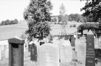 Image of sheet 19860180 photo 16: In Lengnau Ausstellung mit Alis Guggenheim Bilder aus ihrer Kindheit in Lengnau im Ortsmuseum. Ruth Heussler Platzkonzert Gemeindegruppe. Jüdischer Friedhof Lengnau. Kanton Aargau Switzerland 1986 jewish Synagoge. Dorf. Utoquai Zürich Seepromenade. Mogheno. Ziegen vor Kapelle. Valle Maggia mit Leo (f) aus Brasillien. Freske Türe Holz Rustici. Neubauten Daniel Kesselring und Rudi Berli an Konzert in Genf. Geneva Schweiz 
Naima Wadimoff