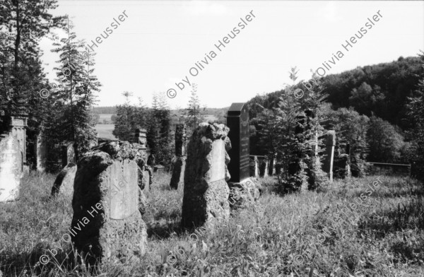 Image of sheet 19860180 photo 17: In Lengnau Ausstellung mit Alis Guggenheim Bilder aus ihrer Kindheit in Lengnau im Ortsmuseum. Ruth Heussler Platzkonzert Gemeindegruppe. Jüdischer Friedhof Lengnau. Kanton Aargau Switzerland 1986 jewish Synagoge. Dorf. Utoquai Zürich Seepromenade. Mogheno. Ziegen vor Kapelle. Valle Maggia mit Leo (f) aus Brasillien. Freske Türe Holz Rustici. Neubauten Daniel Kesselring und Rudi Berli an Konzert in Genf. Geneva Schweiz 
Naima Wadimoff