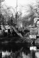 Image of sheet 19860230 photo 23: S
