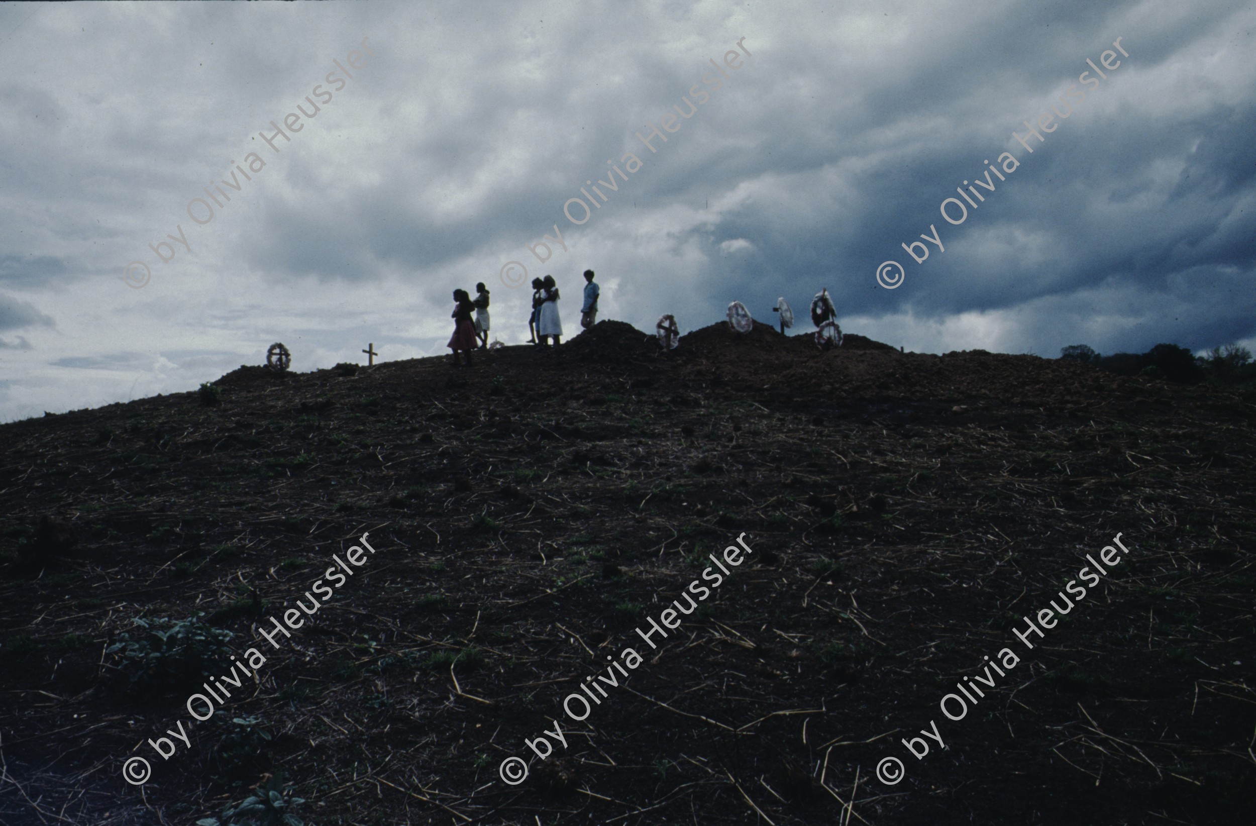 Image of sheet 19863000 photo 12: zur bearbeitung