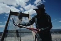 Image of sheet 19863000 photo 14: zur bearbeitung